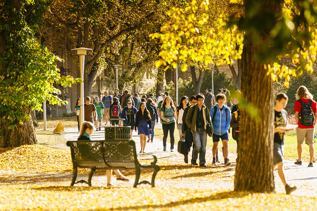 Many students can be seen walking on campus at the University of Saskatchewan