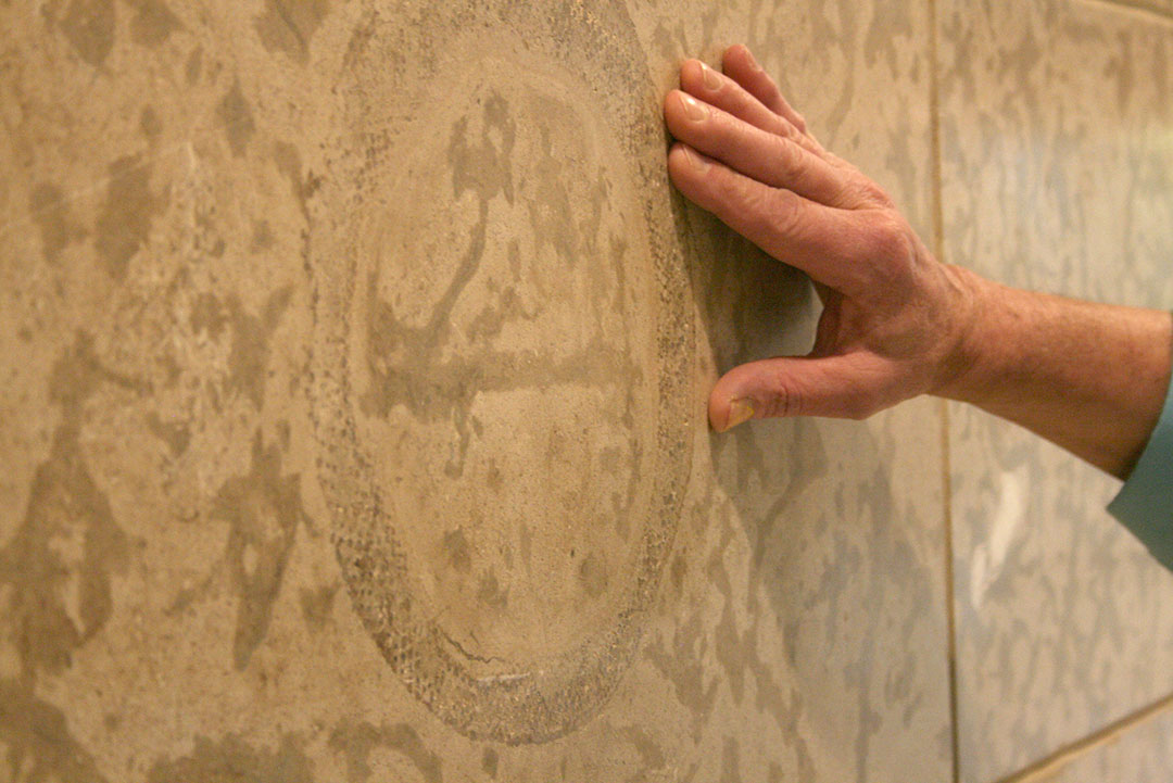 Paleontologist Brian Pratt examines a fossil embedded in the Memorial Wall made of Tyndall Stone in the Geology Building at USask. (Photo by Kristen McEwen)