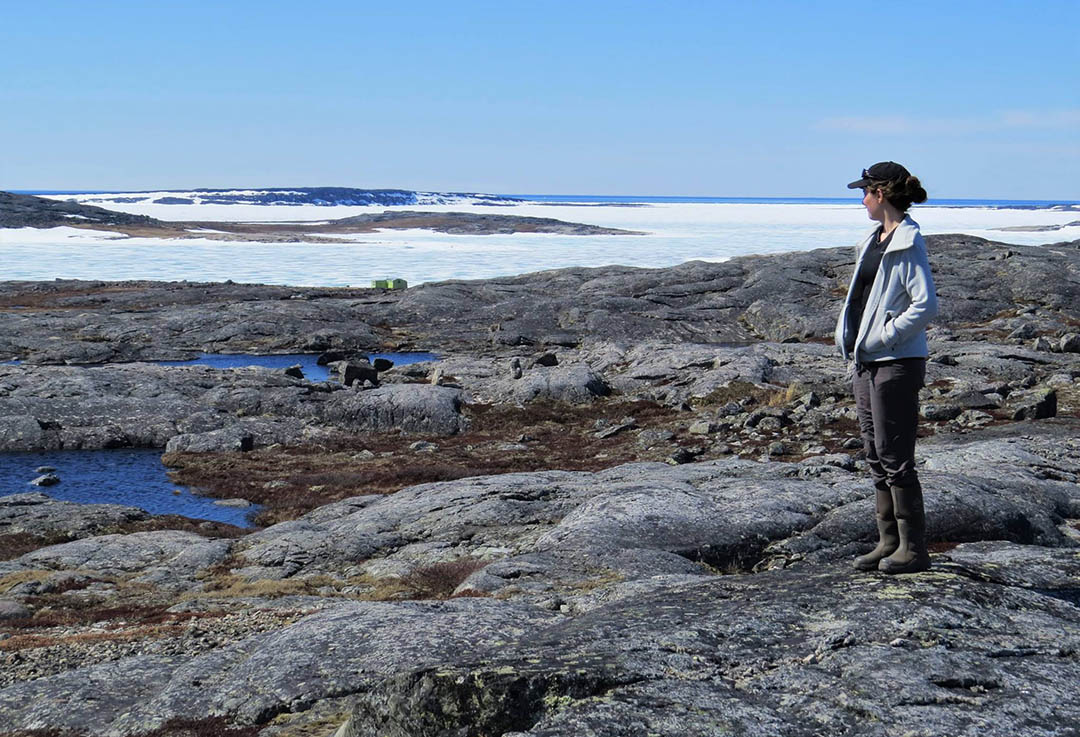 Dr. Émilie Bouchard (PhD) of the University of Saskatchewan surveys the field near the village of Inukjuak, Nunavik in northern Quebec. (Photo: Marie-Christine Frenette)