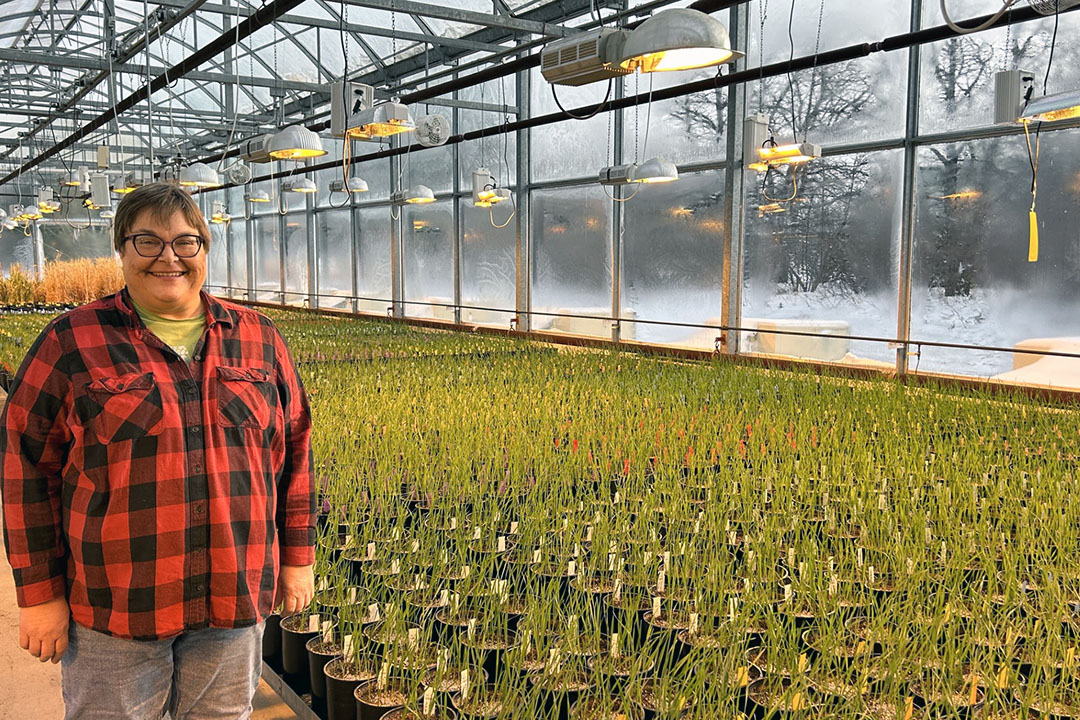 Jackie Bantle stands in front of rows of plants growing in a greenhouse at the University of Saskatchewan.