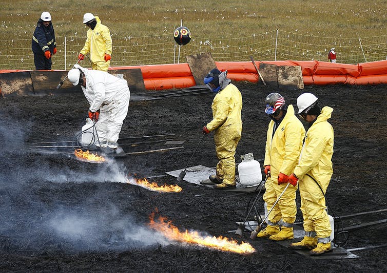 FAU  FAU Graduate Looking To Revolutionize Oil Spill Clean Up