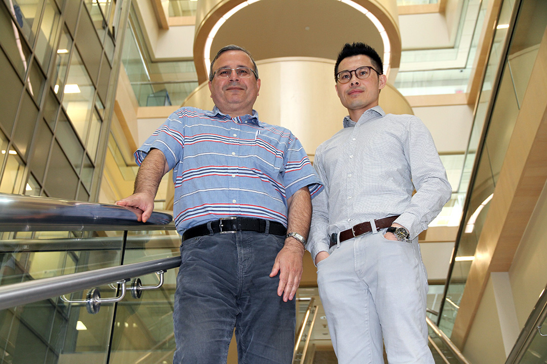 Associate professor Changiz Taghibiglou (left) and Dr. Yanbo Zhang are researching new therapies for concussion in the College of Medicine. (Photo: James Shewaga)