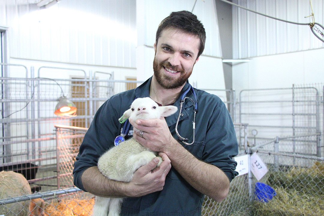 WCVM internship primes vet for large animal practice News University of Saskatchewan