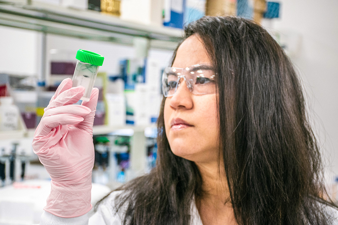 Peta-Gaye Burnett, the OPAL Platform Leader at GIFS, examines a plant specimen in the lab. (Photo: David Conlin)