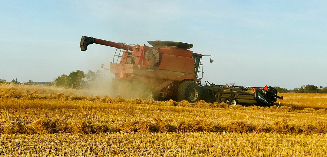 Combining during harvest on the Saskatchewan farm of Alanna Koch and Gerry Hertz, an autumn tradition in a province regarded as a world leader in agriculture production. (Photo: Olufunke Okochi)