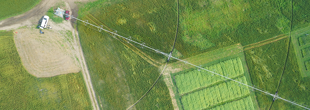 A GIWS unmanned aerial vehicle image of a farm irrigation system near Clavet. (Photo: Smart Water Systems Laboratory)