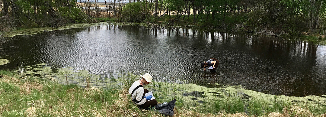 Cam Hoggarth records data while Stephanie Witham collects samples at the St. Denis National Research Area. (Photo: Katy Nugent)