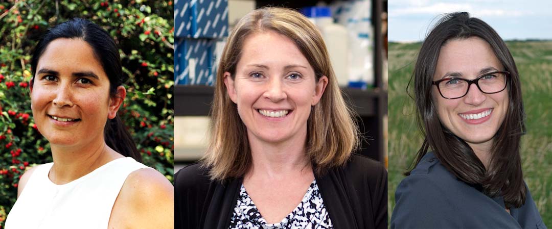 USask agriculture researchers Melissa Arcand, Bobbi Helgason, and Kate Congreves. (Photos: Submitted) 
