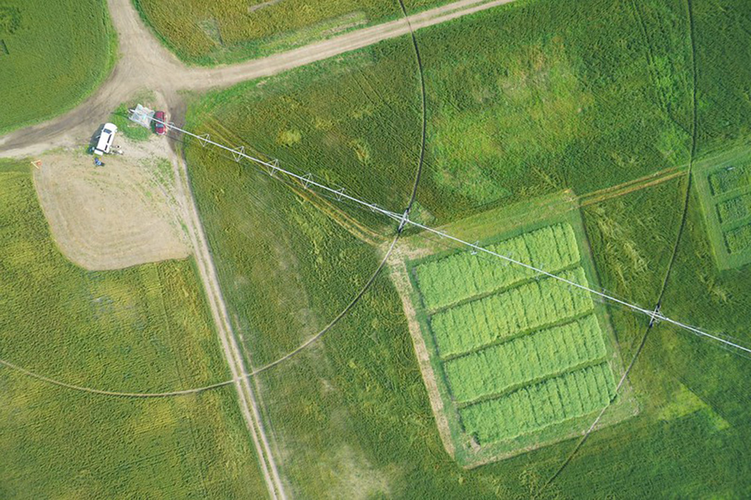 Agricultural irrigation in the Saskatchewan River Basin near Clavet, Sask. (Photo: The Smart Water Systems Laboratory at the University of Saskatchewan) 