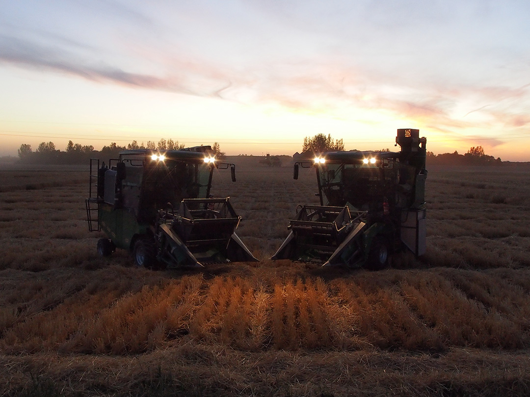 Usask Announces 21 Images Of Research Competition Winners News University Of Saskatchewan