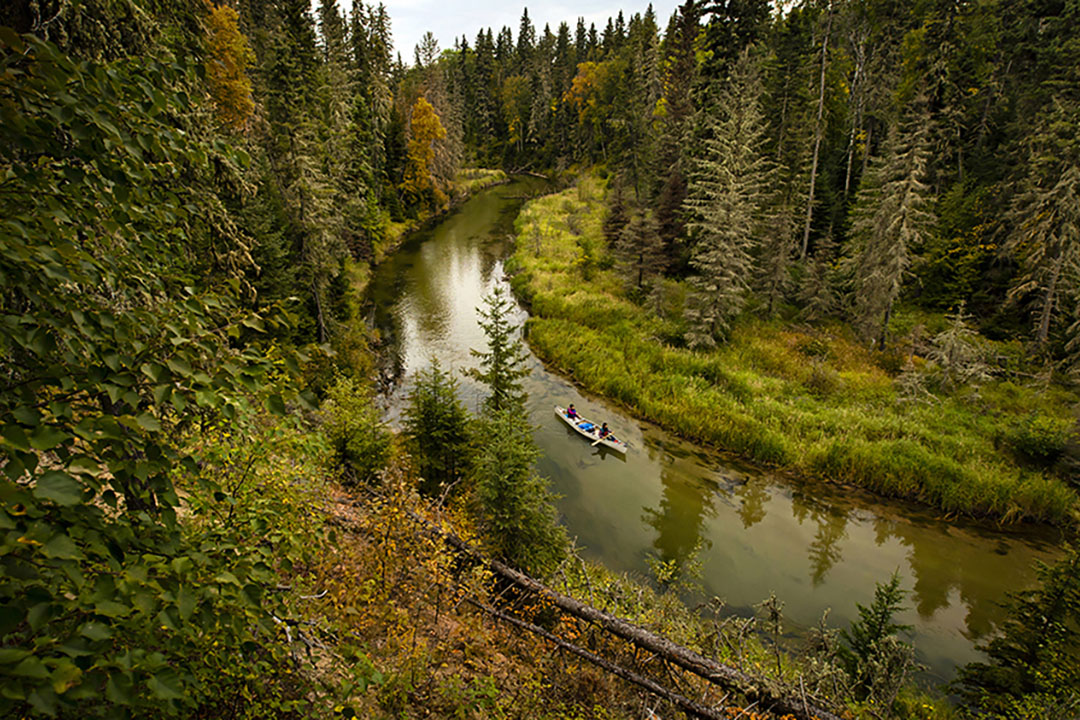 What Is A Mental Health Warrant Saskatchewan