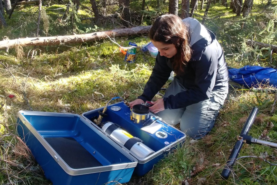 USask graduate Magali Nehemy conducting field research to investigate how trees use water in forest environments. (Photo: Magali Nehemy)