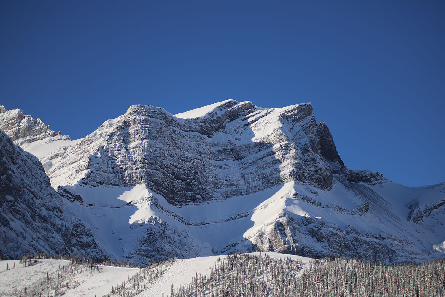 USask research site in Kananaskis Valley where snow is monitored. (Photo: Alistair Wallace)
