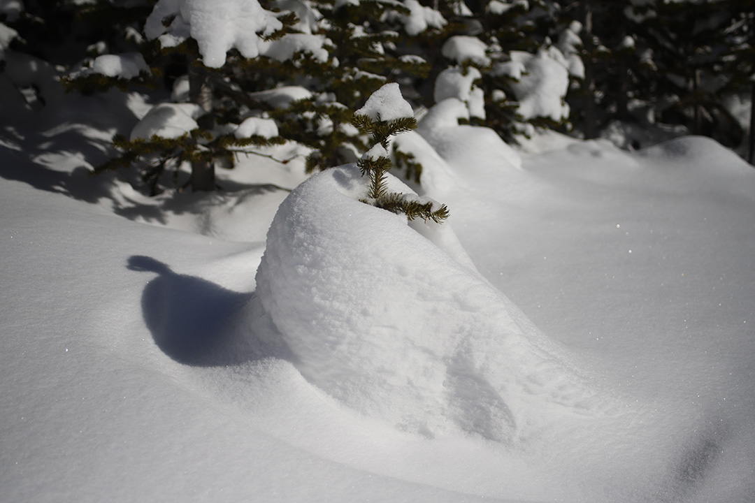 The Kananaskis Valley, near a USask research site where snow is monitored. (Photo: Alistair Wallace)