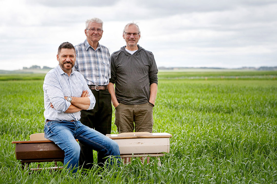 USask researchers Dr. Curtis Pozniak, Dr. Bob Baker and Dr. Pierre Hucl stand in a wheat field.