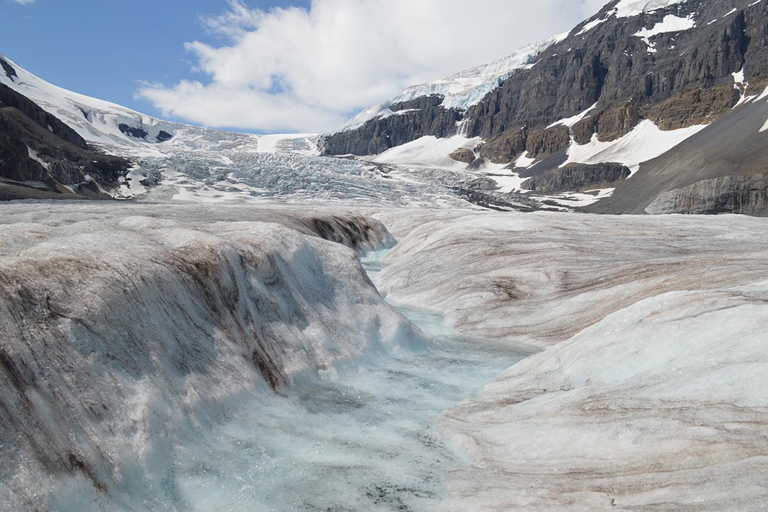 Soot-covered ice found on the Athabasca Glacier in the Canadian Rockies. (Photo: Caroline Aubry-Wake)