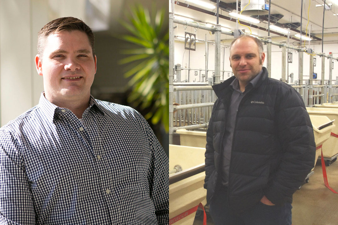 Dr. Jon Bennett (PhD), assistant professor in USask’s College of Agriculture and Bioresources (AgBio), and Dr. Gregory Penner (PhD), AgBio professor and USask Centennial Enhancement Chair in Ruminant Nutritional Physiology. (Photo: Submitted) 