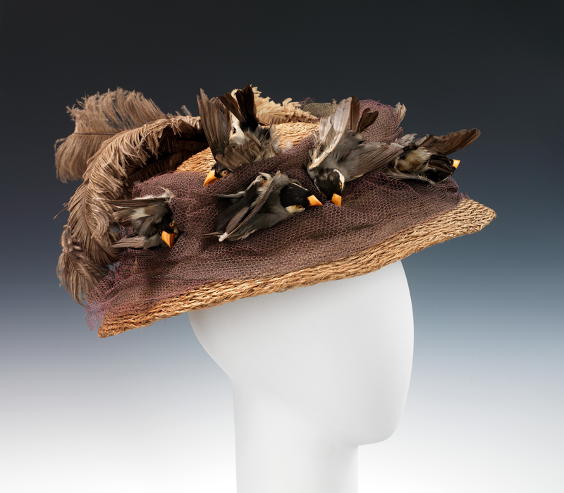 A hat featuring stuffed birds, circa 1890. (Photo: Brooklyn Museum Costume Collection at The Metropolitan Museum of Art, Gift of the Brooklyn Museum, 2009; Gift of Pratt Institute, 1943) 