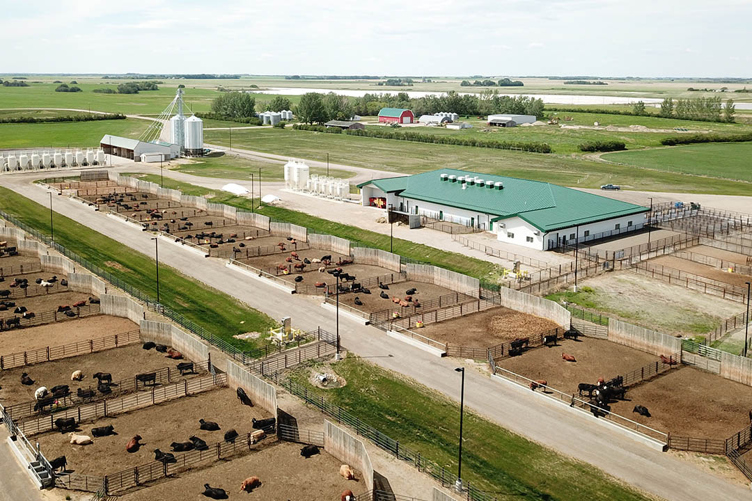 An aerial view of the Beef Cattle Research and Teaching Unit (BCRTU), one of the Livestock and Forage Centre of Excellence's three units. 