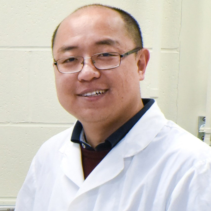 Dr. Lipu Wang PhD), research officer at USask’s Crop Development Centre. (Photo: Submitted)