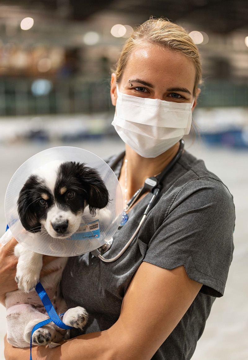 Fourth-year veterinary student Blossom De Bruin holds a young canine patient during a remote clinic in La Ronge, Sask. (Photo: Brandon White.)