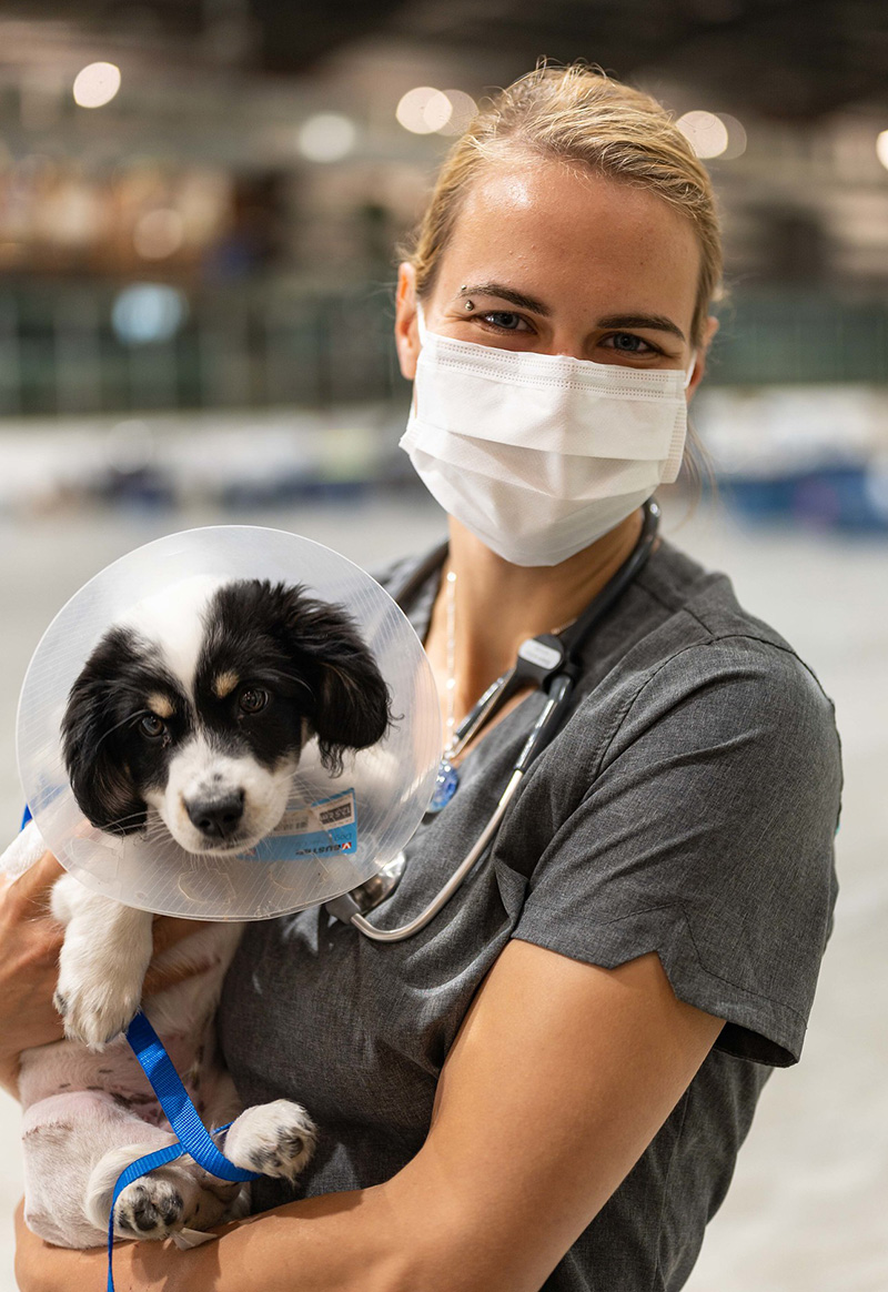 Fourth-year veterinary student Angele Lalonde (left) checks a sedated equine patient’s teeth with classmate Sarah Thomas's help