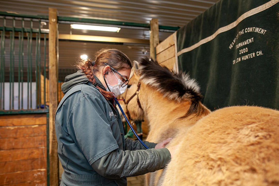Increased funding will allow at least 40 B.C. students to begin studying at the Western College of Veterinary Medicine (WCVM) in the 2022/23 academic year. (Photo: Christina Weese)
