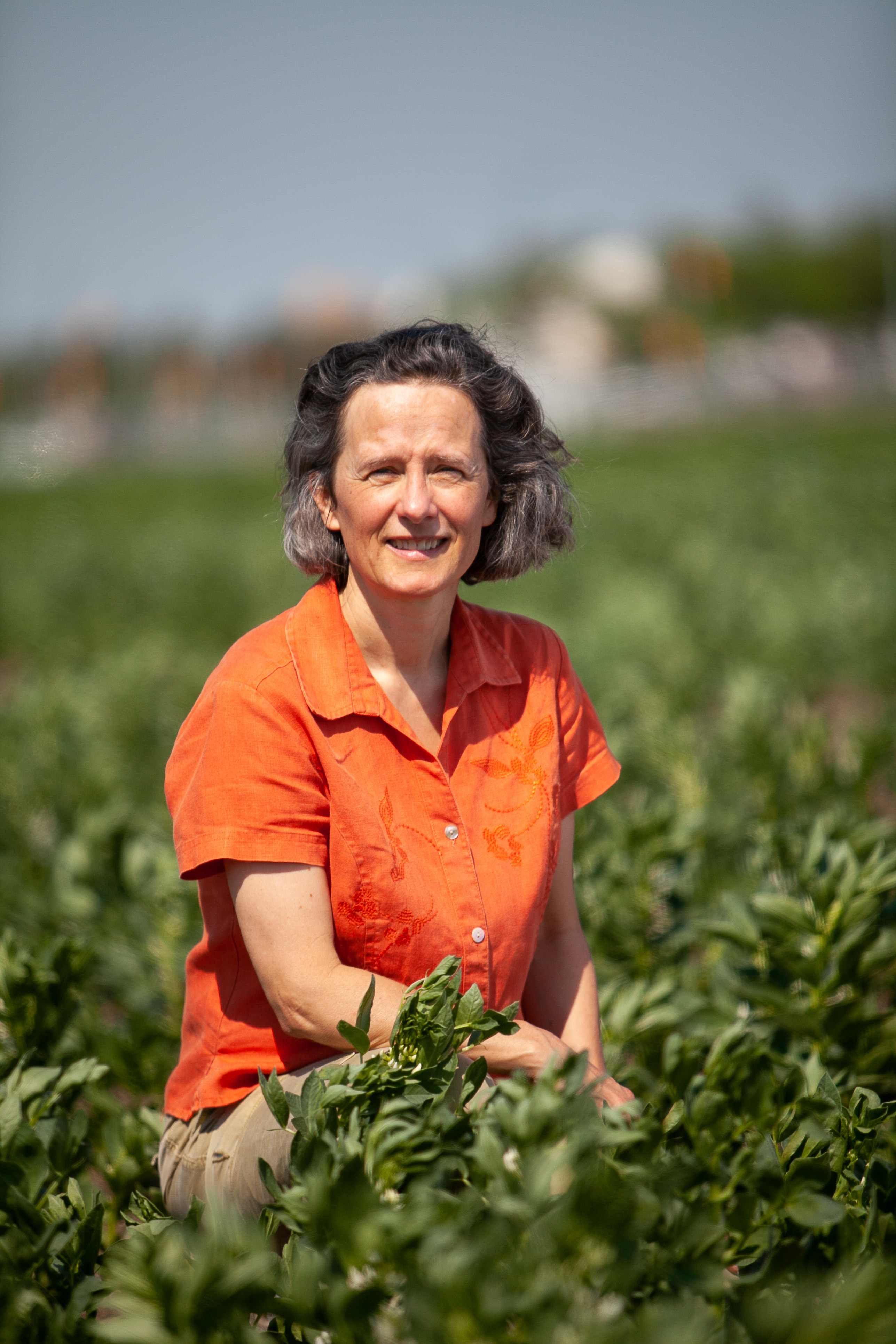 Nineteen USask researchers were awarded $6.8 million to support 29 innovative crop-related projects through the Agriculture Development Fund. (Photo: Kaylie Krys)