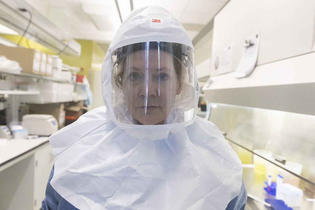 Dr. Angela Rasmussen (PhD) in the lab at the Vaccine and Infectious Disease Organization at the University of Saskatchewan. 