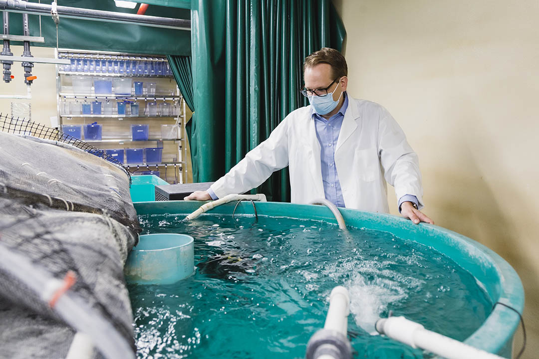 Dr. Markus Brinkmann (PhD) at the Toxicology lab and Aquatic Toxicology Research Facility at the Toxicology Centre. (Photo: Carey Shaw)