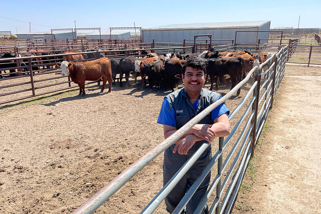 Dr. Dinesh Dadarwal will participate in a study at the LFCE, looking at the use of “ag-tech” to track cows during the calving season. 