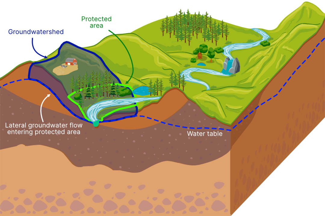 Most of the world’s protected areas depend on groundwatersheds--shallow, local, subsurface water basins where groundwater collects—which may be vulnerable to human activity. (Credit: Supplied)