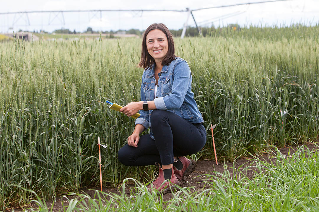 Dr. Kate Congreves (PhD) is an associate professor in the College of Agriculture and Bioresources at USask. (Photo: Christina Weese)