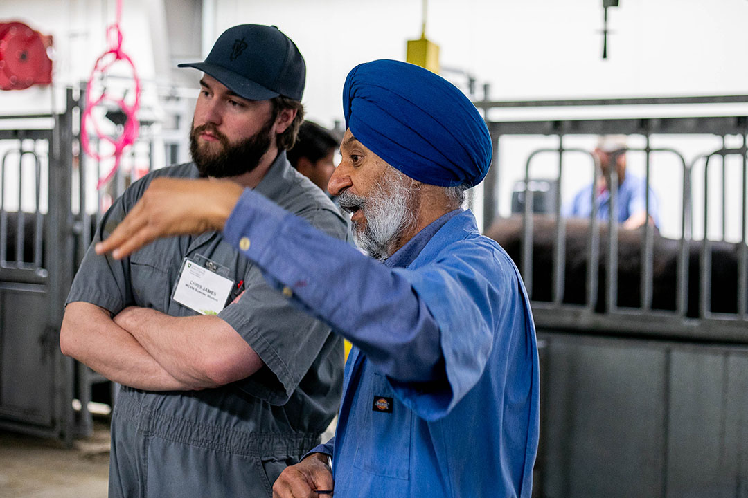 Dr. Jaswant Singh (PhD) is a professor with the Western College of Veterinary Medicine (WCVM) at USask. (Photo: Christina Weese)