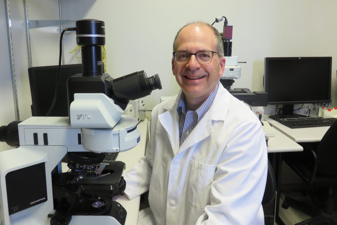Chairholder, Dr. Michael C. Levin (MD), along with his team of researchers have been working to develop medications that can inhibit the nerve cell damage that occurs due to diseases such as MS. 