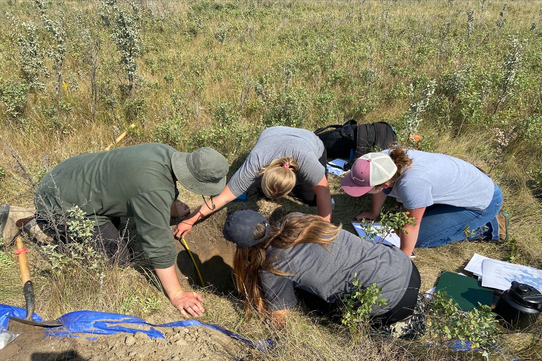 Students in the EVSC 380 Grassland Soils and Vegetation field course examine Orthic Dark Brown Chernozem soil at the Northeast Swale.
