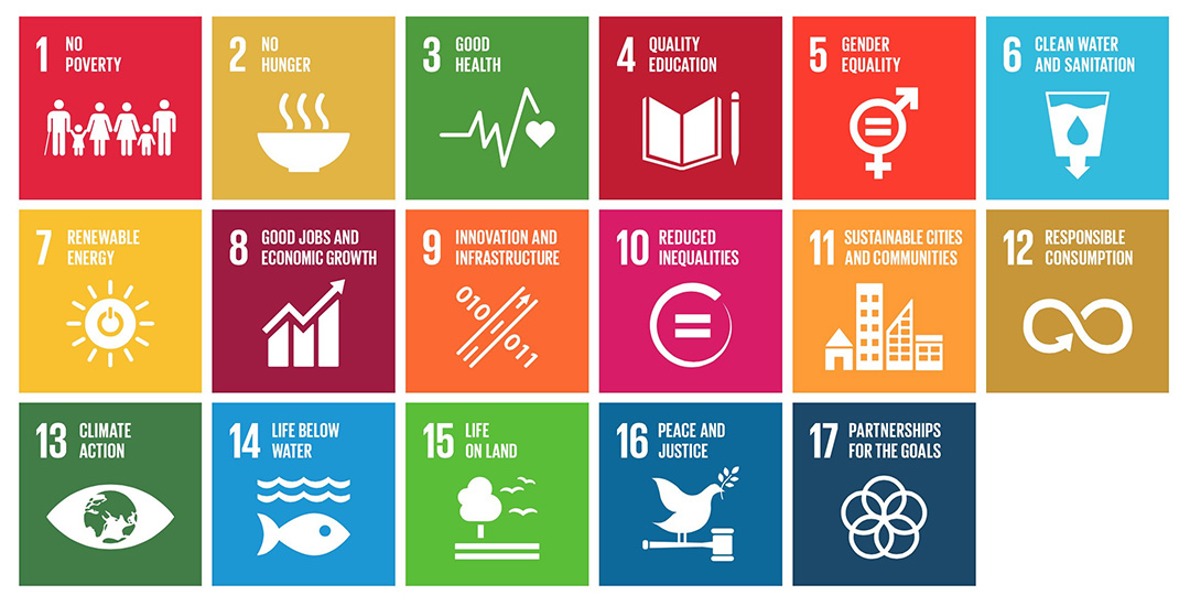 The NURS 405.3/805.3 course emphasizes the United Nations Sustainable Development Goals (SDGs). (File image)