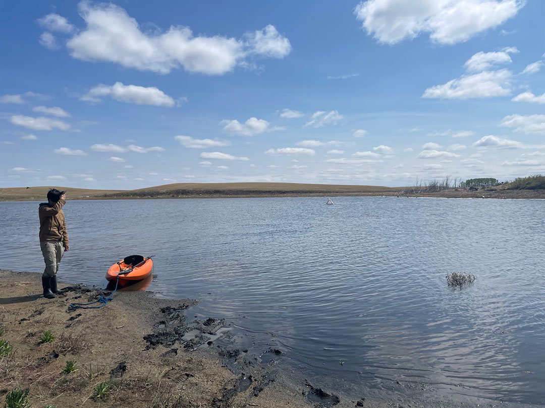 An interdisciplinary USask research team aims to demonstrate how wetlands contribute to the overall ecosystem and how those contributions translate to the benefit of wildlife and humans. (Photo: Submitted)