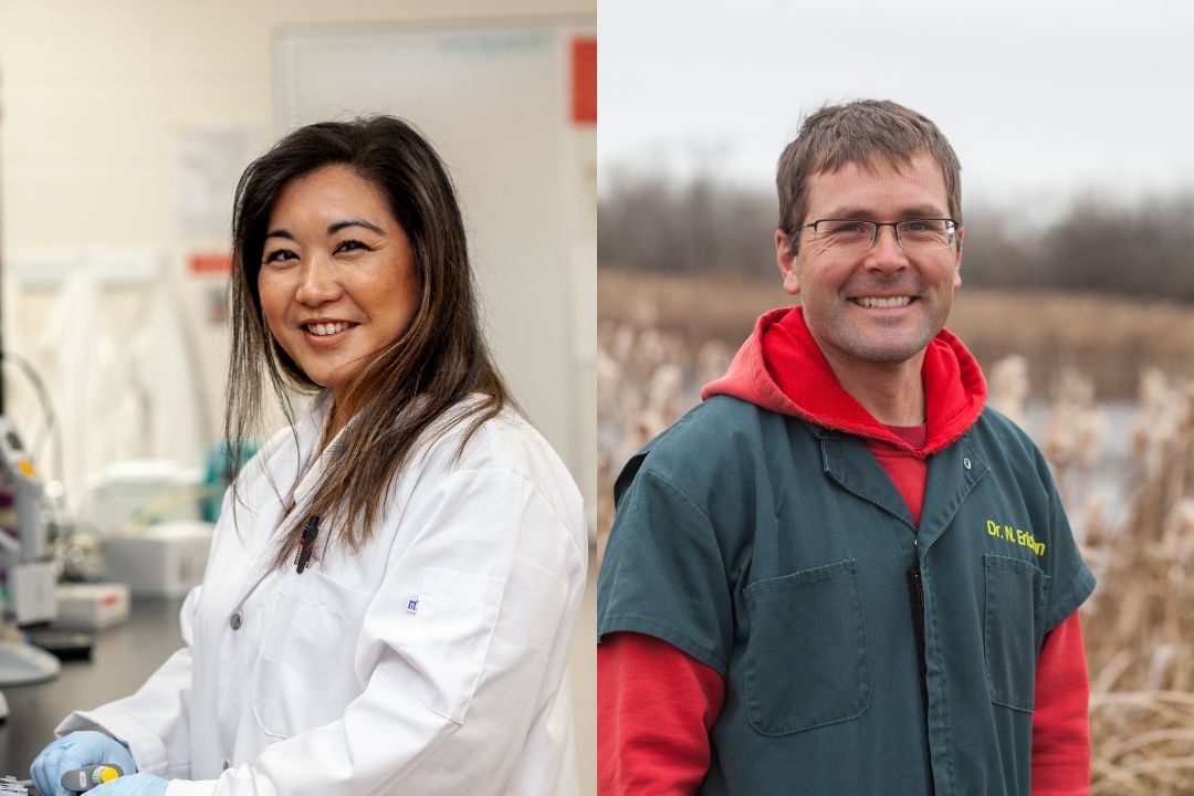 USask researchers Dr. Mika Asai-Coakwell (PhD) and Dr. Nathan Erickson (DVM) (Credit: Christina Weese)
