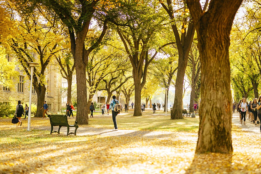 usask on a sunny day