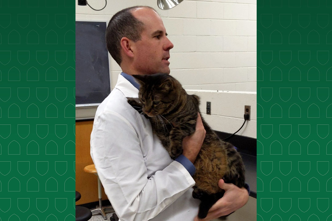 Assistant Professor Dr. Al Chicoine (DVM) and his cat, Mort, during a lesson with students in the Western College of Veterinary Medicine at the University of Saskatchewan. (Photo: Submitted) 