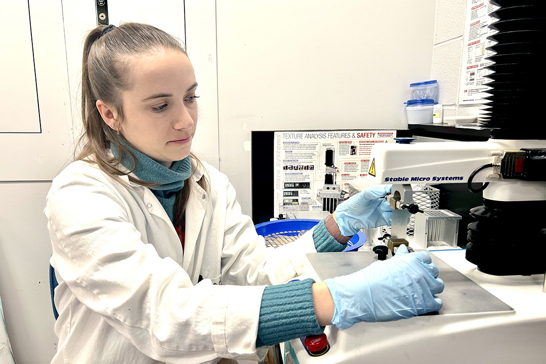 Food and Bioproduct Sciences graduate student Madeline Warburton tests the flexibility of a food-based film developed by USask researchers.