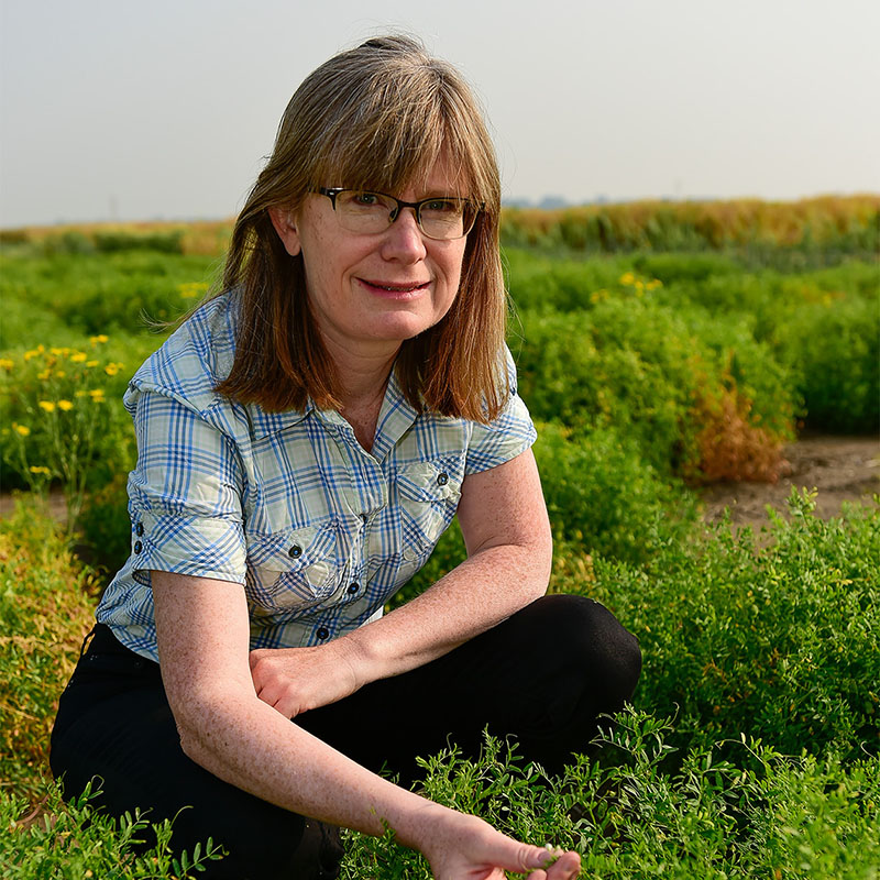 Dr. Kirstin Bett (PhD) with USask’s College of Agriculture and Bioresources. (Photo: Submitted)
