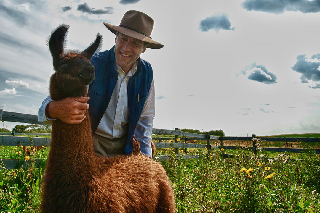 Dr. Gregg Adams (DVM, PhD) and his USask research team were the first to derive a cria (newborn llama) from embryo transfer in Canada in 2012. (Photo: Liam Richards)