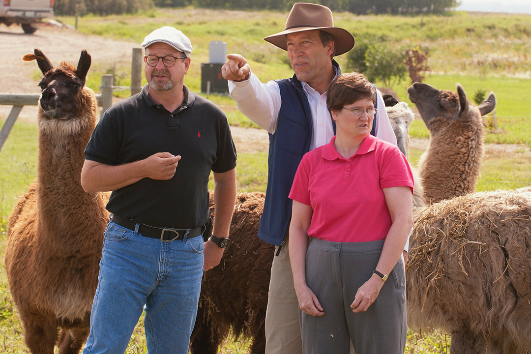 Left to right: In 2012, Drs. Roger Pierson, Gregg Adams and Karin van Straaten of USask discovered the identify of an ovulation-inducing factor in semen using llamas as research models. (Photo: Liam Richards)