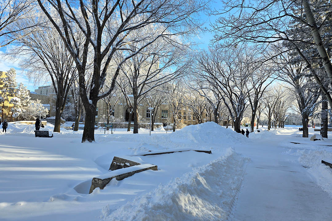 Snow on campus at the University of Saskatchewan