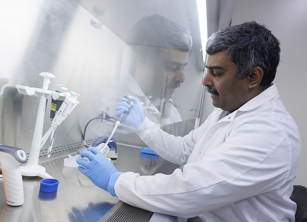 Dr. Anil Kumar (PhD) with the Department of Biochemistry, Microbiology and Immunology in the College of Medicine. (Photo: Dave Stobbe)