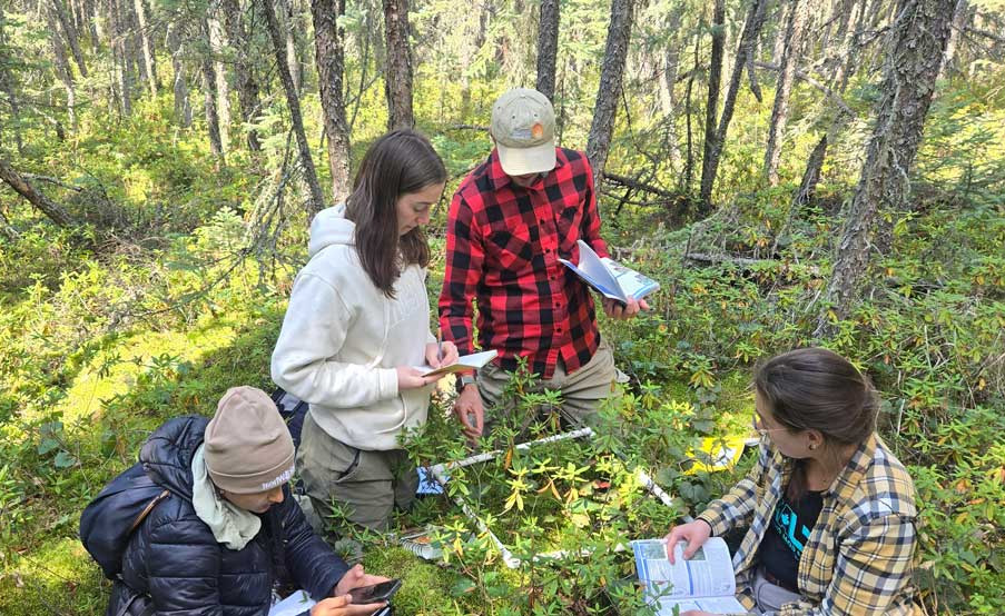 Students in the new Forest Resources Certificate will receive experiential learning to prepare for careers in the forest industry. (Photo: Bryan Mood)