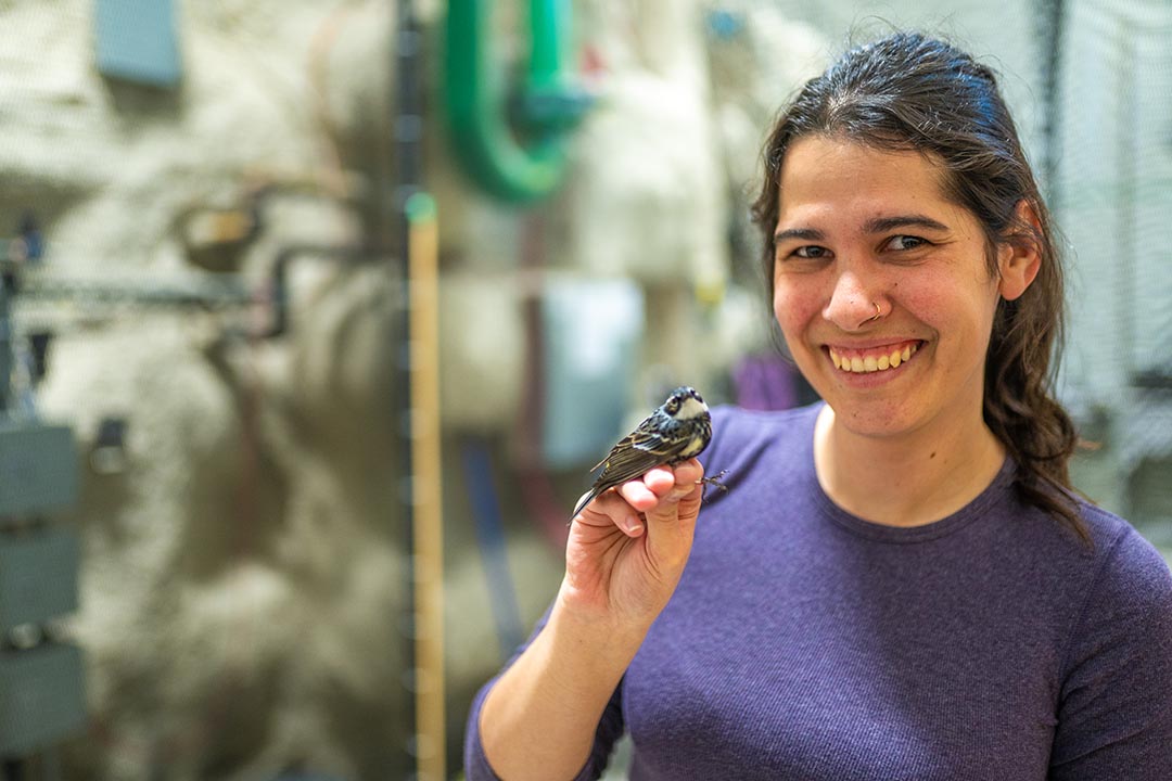 Dr. Catie Ivy (PhD) holds a bird at the Advanced Facility for Avian Research (AFAR) at Western University. (Photo: Darryl Lahteenmaa/Western Communications)