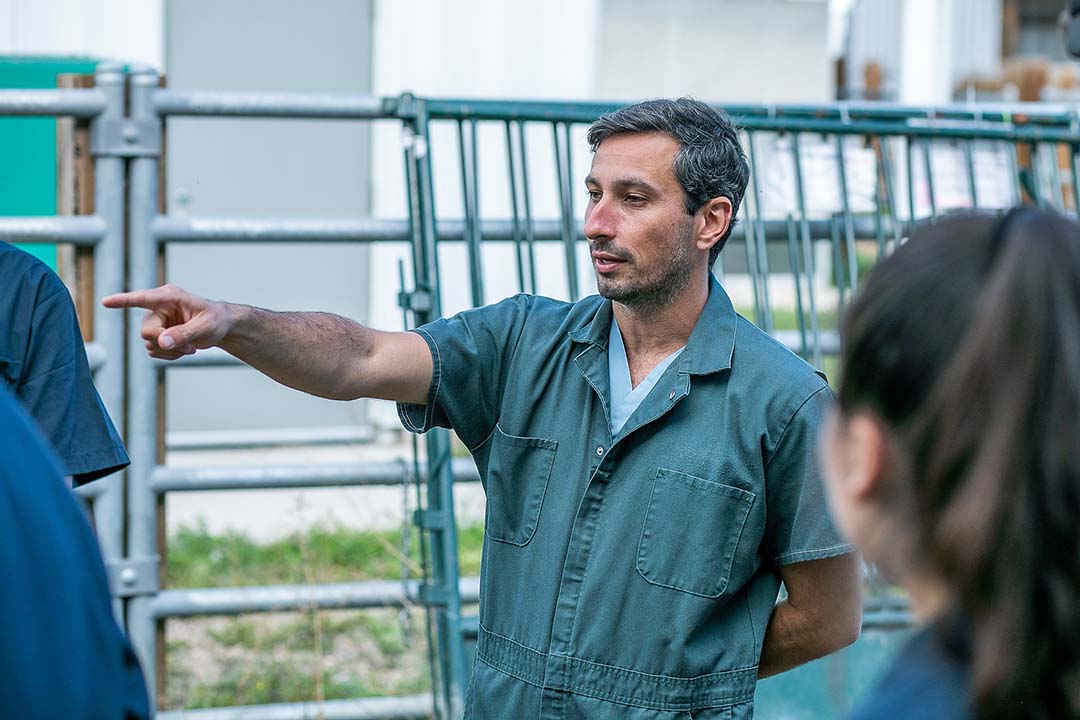 A pig enjoys frolicking in the mud at the University of Saskatchewan. (Photo: Christina Weese)